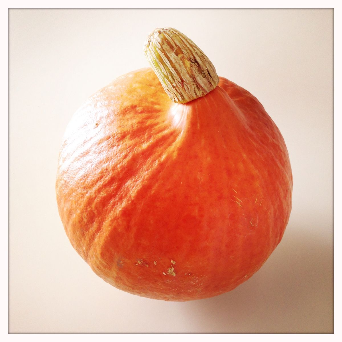 ¿Encaja la calabaza en la dieta LOGI?